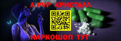 стаф Кингисепп