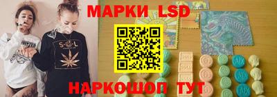 стаф Кингисепп